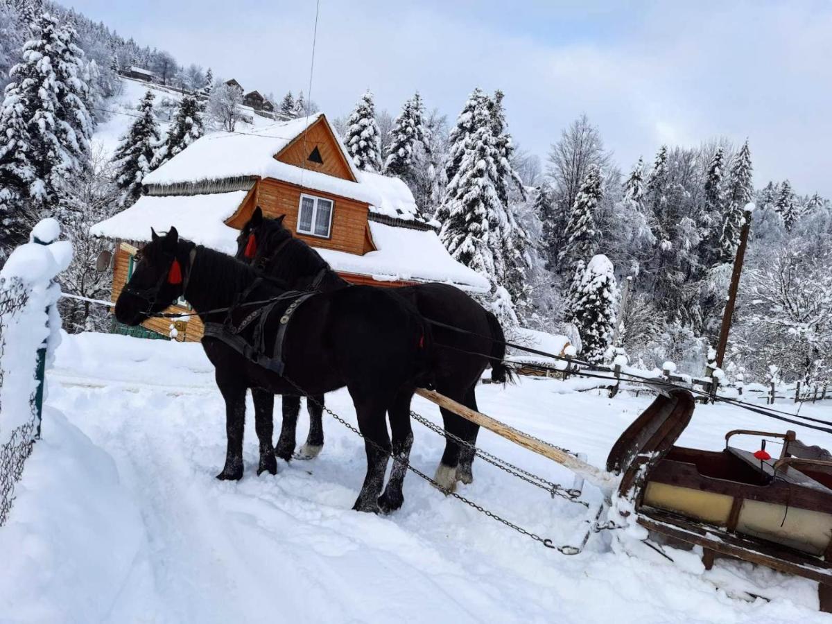Cottage "Kliverent" Яремче Екстер'єр фото