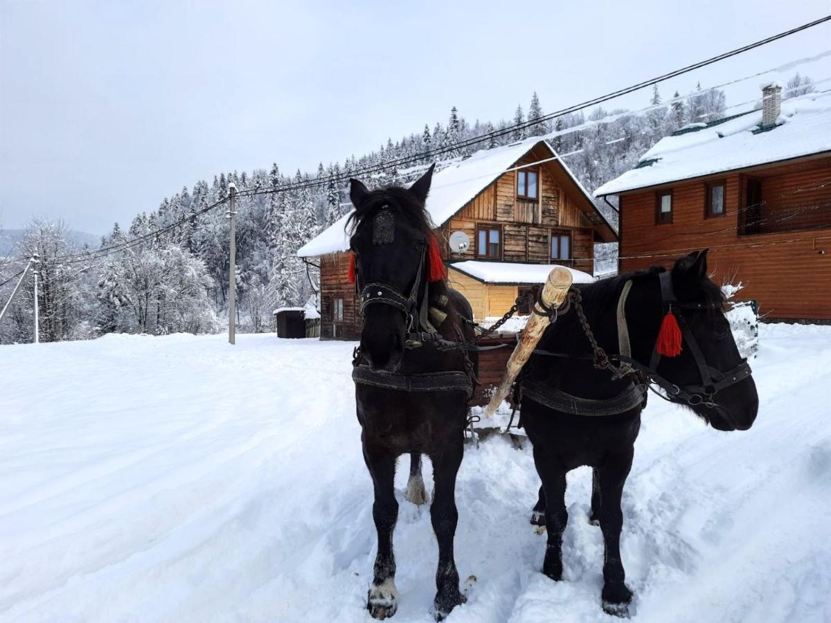 Cottage "Kliverent" Яремче Екстер'єр фото